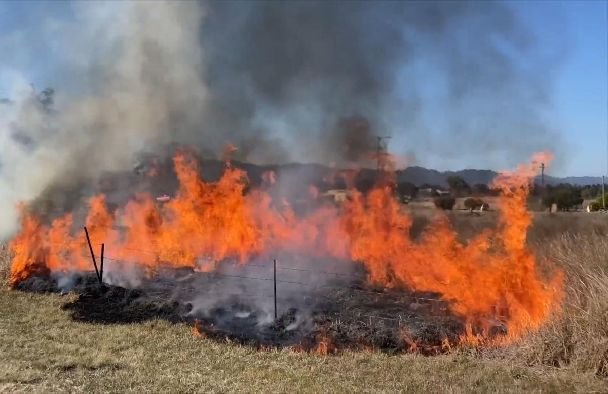 Major hazard reduction burn reduces grassfire risk for upper Hunter ...