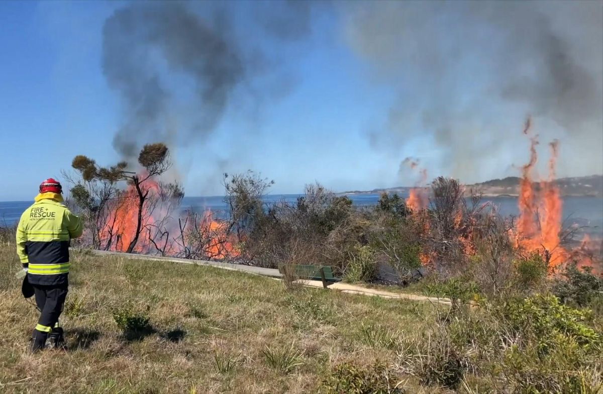 Hazard reduction operation reduces bushfire risk - Fire and Rescue NSW