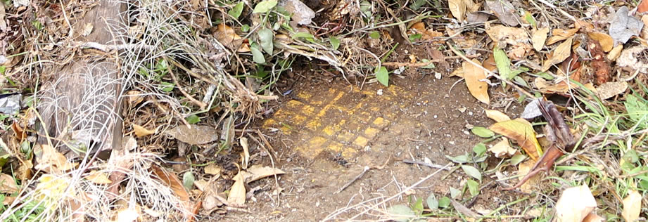 Learn how to find your closest water hydrant.