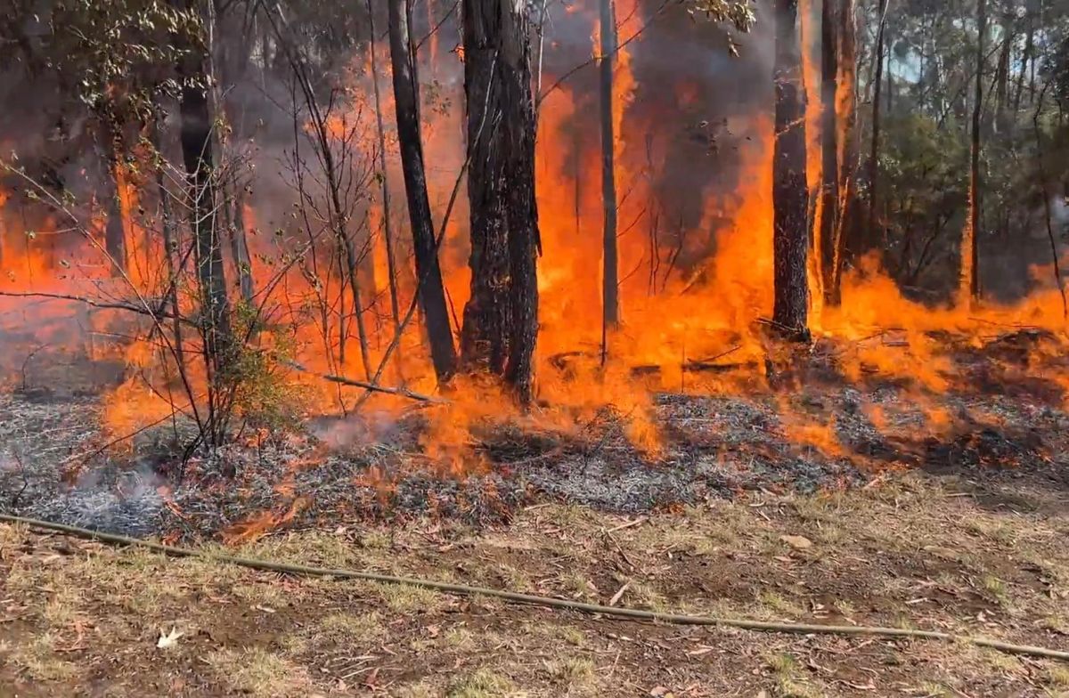 Firefighters protect Warragamba dam and local township from bushfire ...