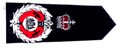 Deputy Commissioner